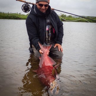 Alaska Flyfish Adventures 06-2015 2015-06-flyfish-adventures-alaska29.jpg